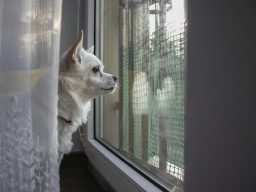 Hemfix Möbelmontering handyman  Fixarservice / Fixartjänst