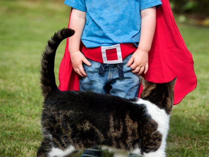 Hemfix Möbelmontering handyman  Fixarservice / Fixartjänst